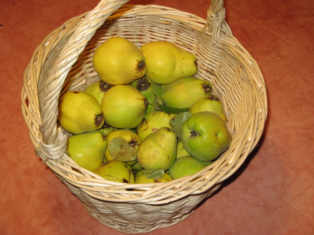Pâte de coings