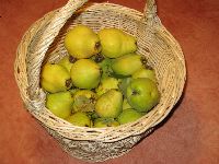Pâte de coings