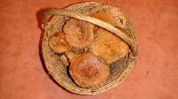 Champignons de pin à l'huile et au vinaigre (conserves de lactaires délicieux ou sanguins)